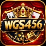WGS456 Game